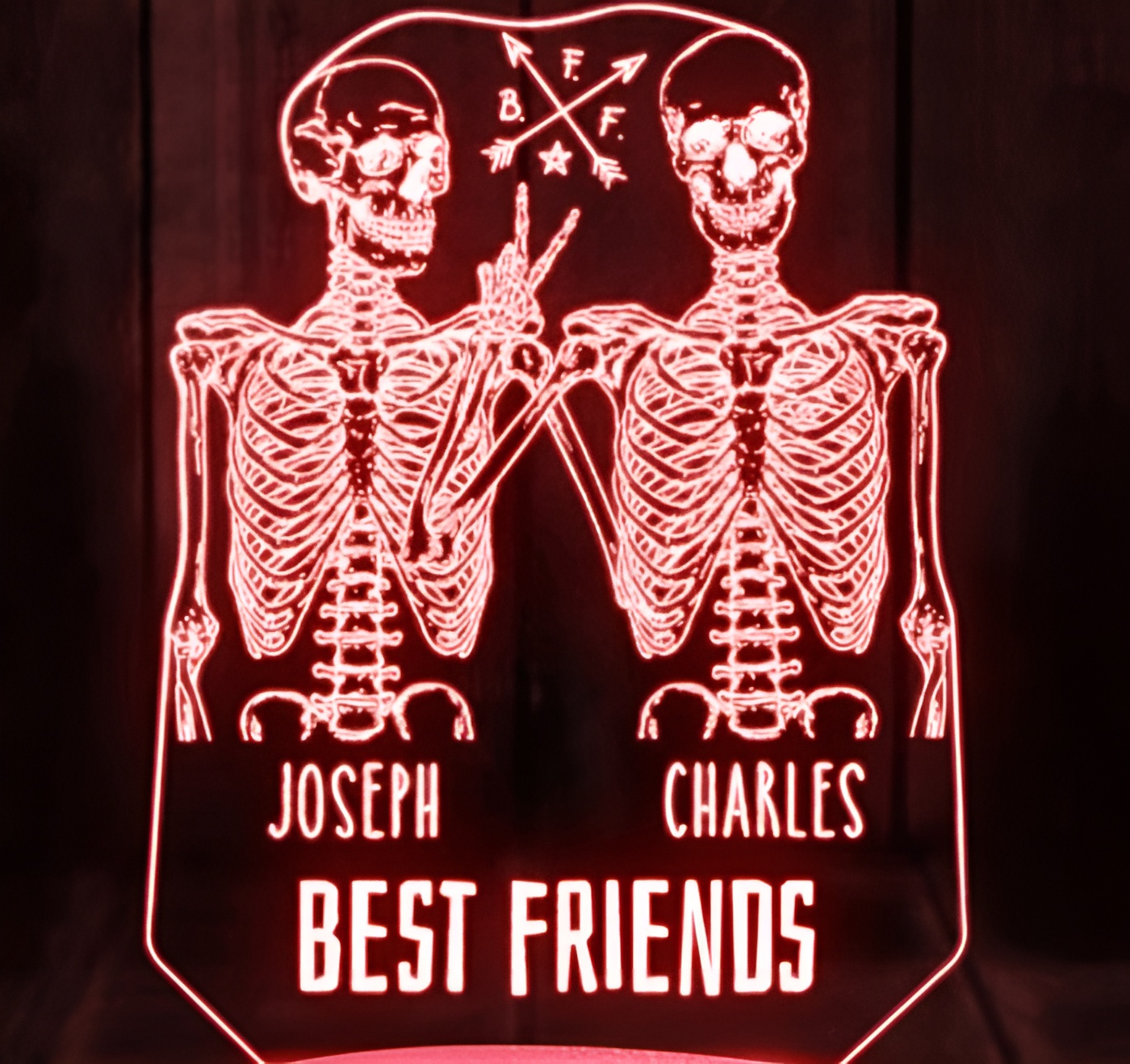 Skull Best Friends Forever LED Light